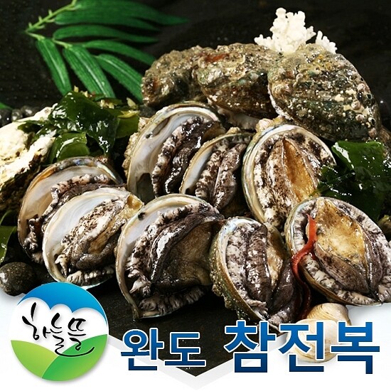 완도참전복 완도 참 전복 1kg 30-40미 / 아이스박스포장