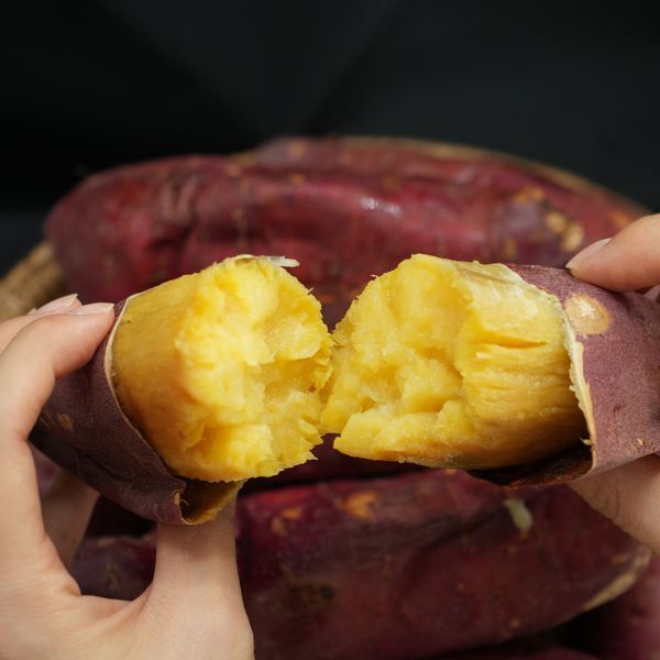 착한식탁 [하프클럽/착한식탁]해남 햇 꿀고구마 5kg 못난이