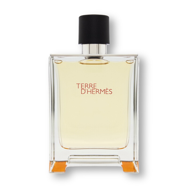 에르메스 에르메스 떼르 데르메스 EDT 100ml