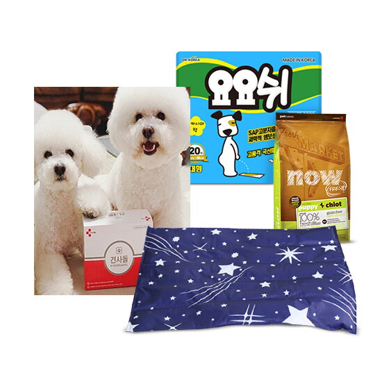 [나우/견사돌/요요쉬外] 반려견을 위한 필수 아이템을 한자리에!