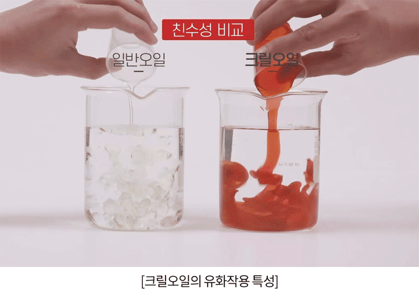 2_krill56_06