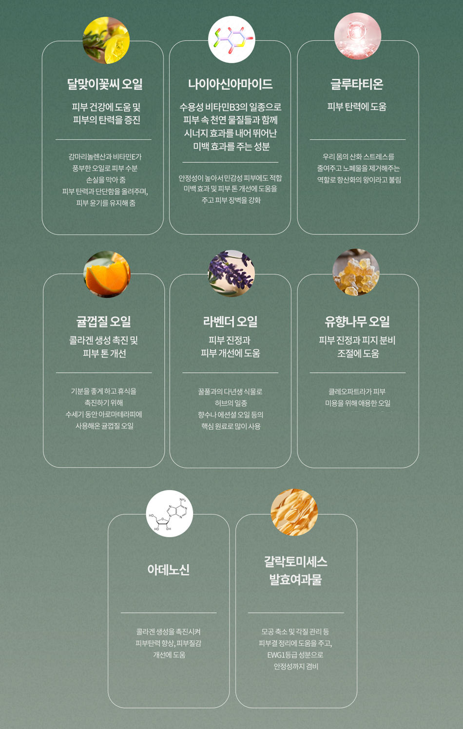 세럼_상세5 - 수정