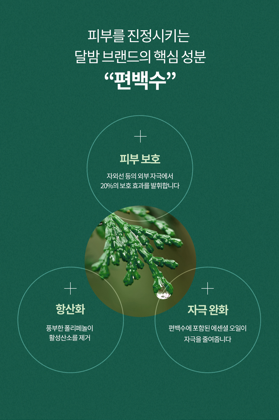 세럼_상세2-1 - 수정