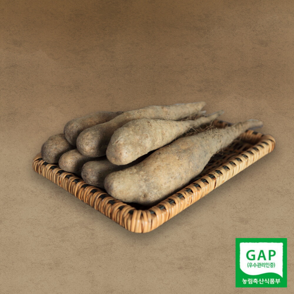태나농장 [태나농장] 우수농산물 마 산마 참마 산약 생마 햇마 (특품 3kg)