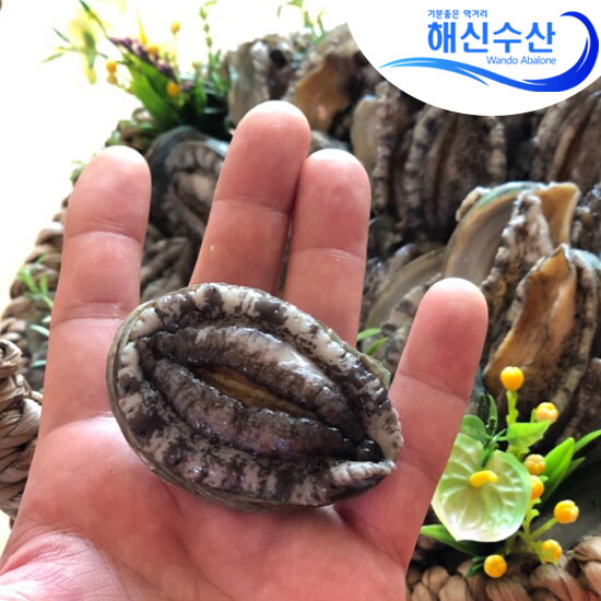 해신수산 해신수산 완도활전복 30-40미 1kg