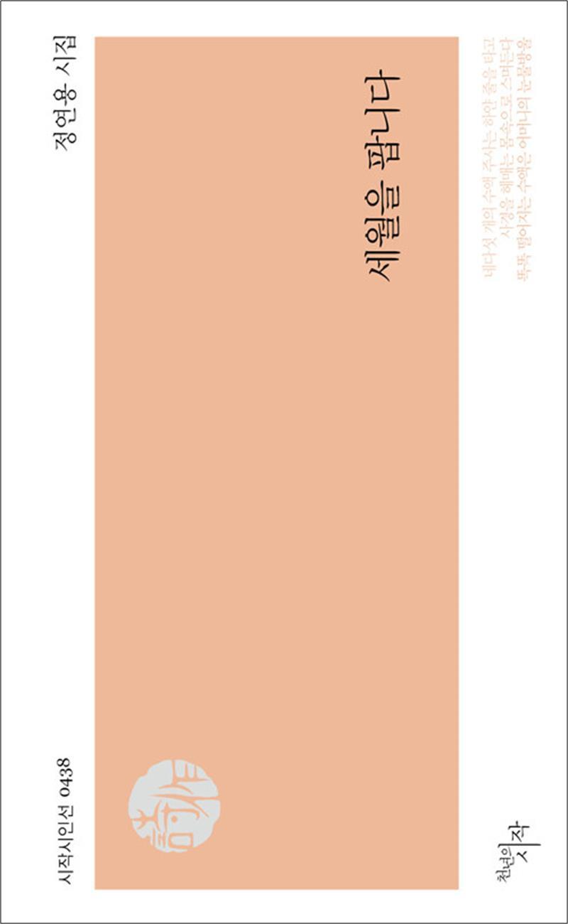 팝북 [팝북] 세월을 팝니다 (시작시인선 438)