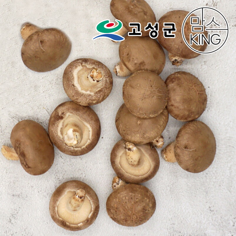 고성군(공룡나라) (공룡나라)고성 웅이표고농장 생표고버섯(생표고/하품1kg)
