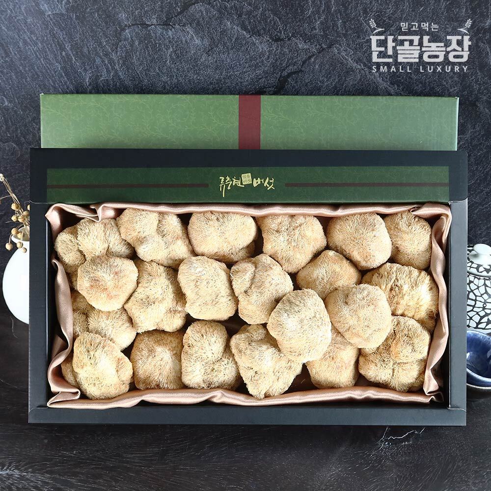 프레시데이 류충현버섯명장 노루궁뎅이버섯 선물세트 1호 (200g)