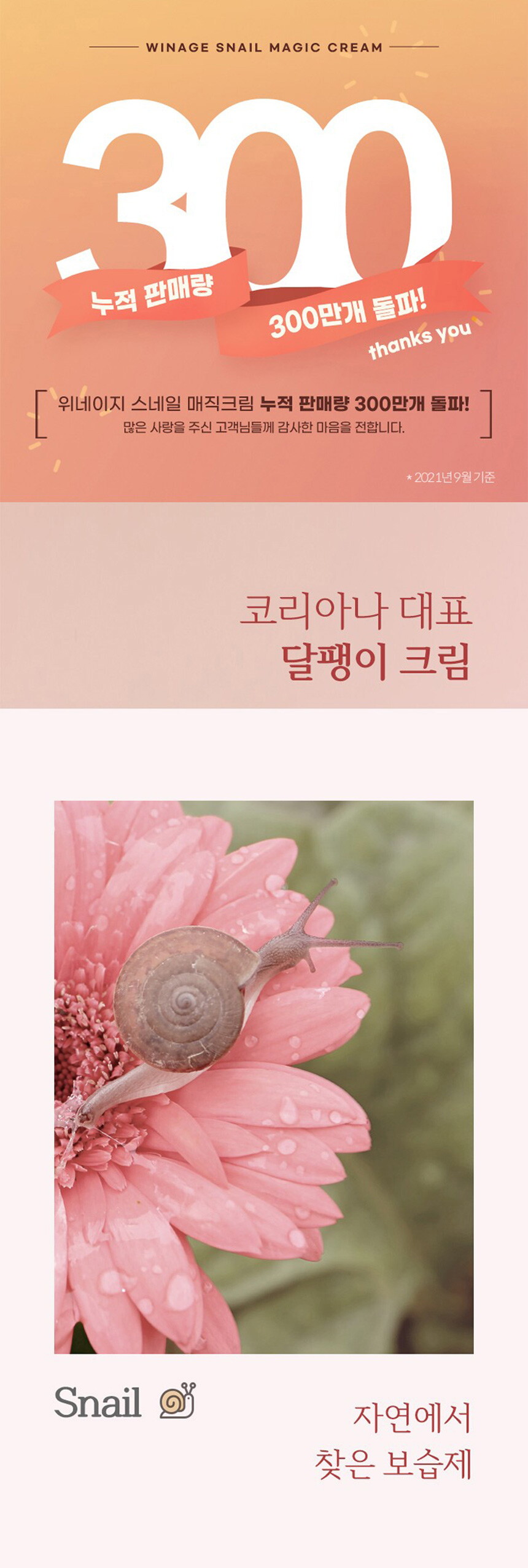 sn_01