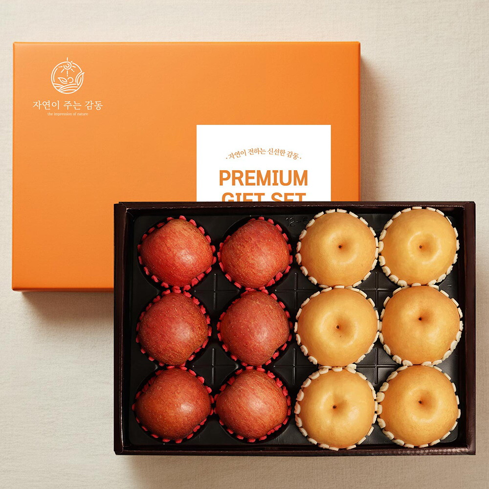 감동 자연의감동 혼합과일 9호 사과6개+배6개 5kg 과일선물세트