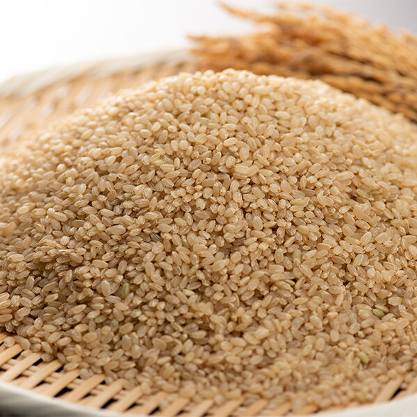 맛나미 전주시 디자인농부 현미 영양가득 10kg