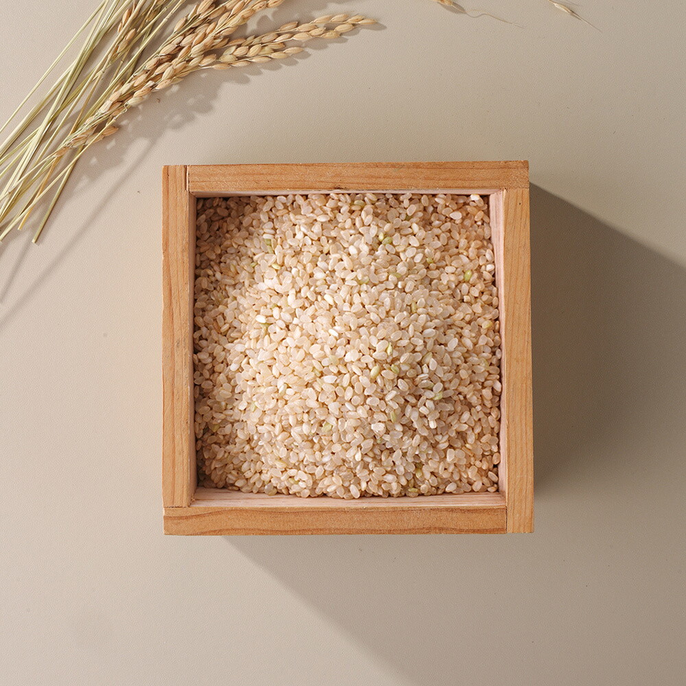 이쌀이다 삼시세끼 오분도미 삼광 특등급 1kg x 5봉