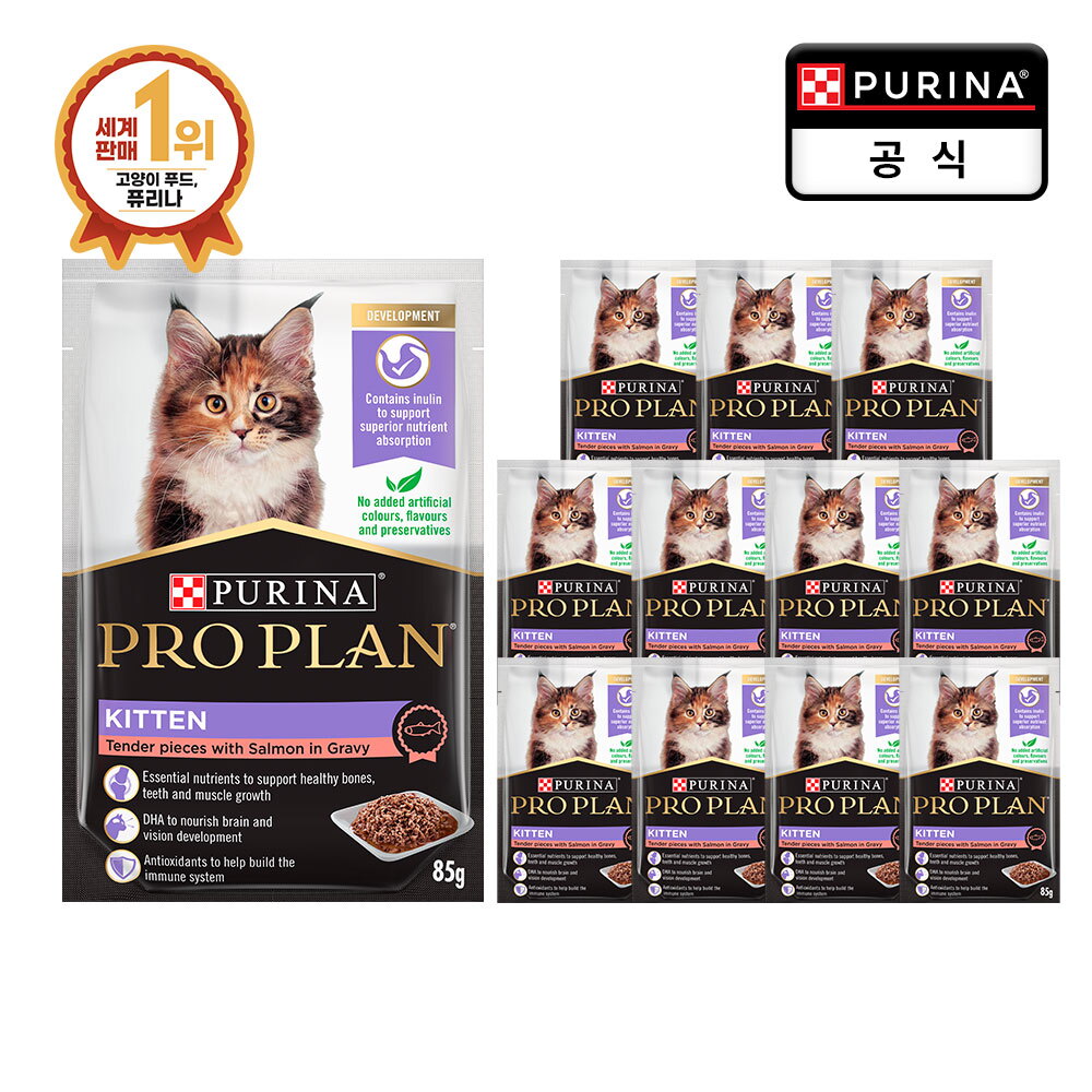 기타 프로플랜 캣 습식 파우치 살몬 키튼 85g x 12개