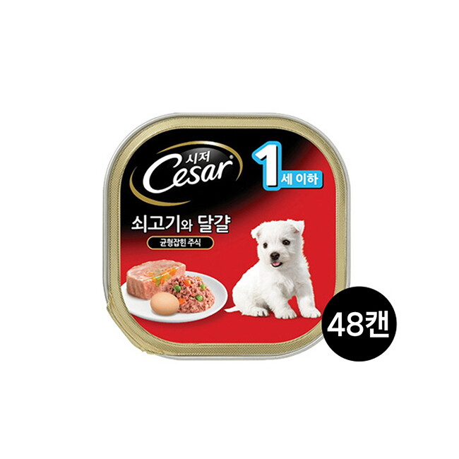 브이펫 시저 1세이하 쇠고기와 달걀 100g 48캔/무료배송