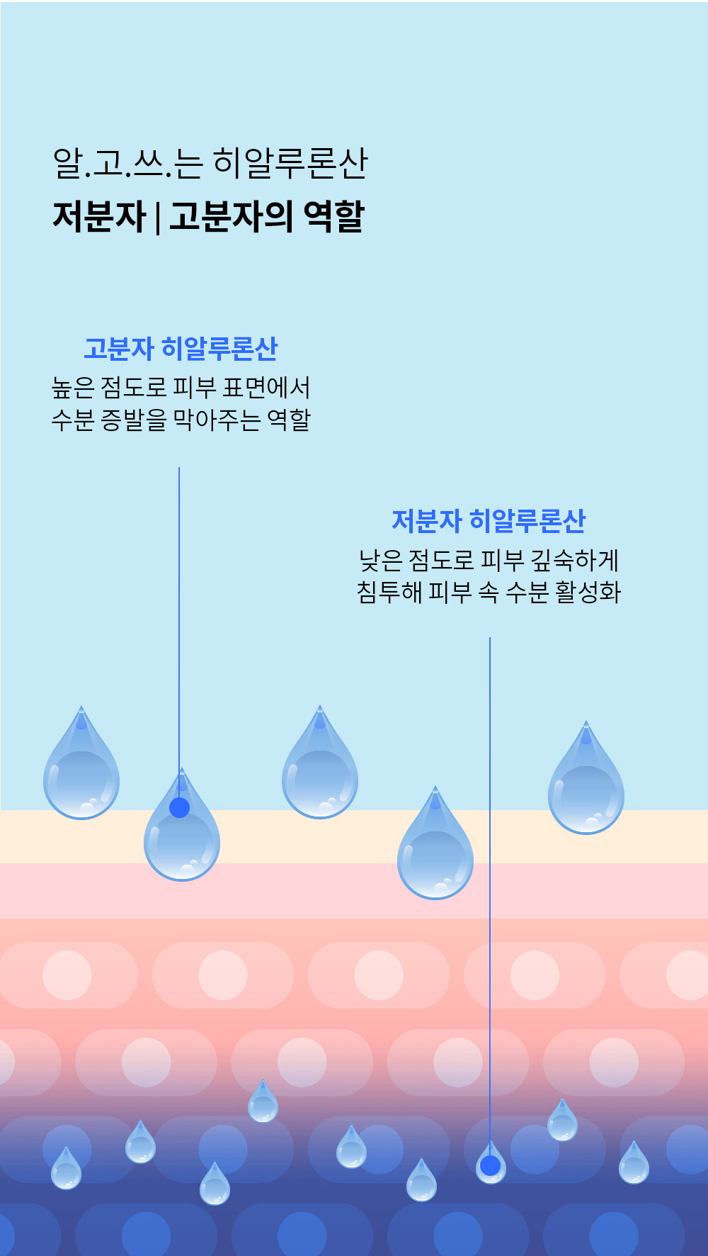 ㅈㅔㄴㅏㅂㅔㄹ_ㅎㅏㅇㅣㄷㅡㄹㅏㅂㅜㅅㅡㅌㅓ-ㅇㅐㅁㅍㅡㄹ_ㅅㅏㅇㅅㅔㅍㅔㅇㅣㅈㅣ_231120_MR_05.jpg