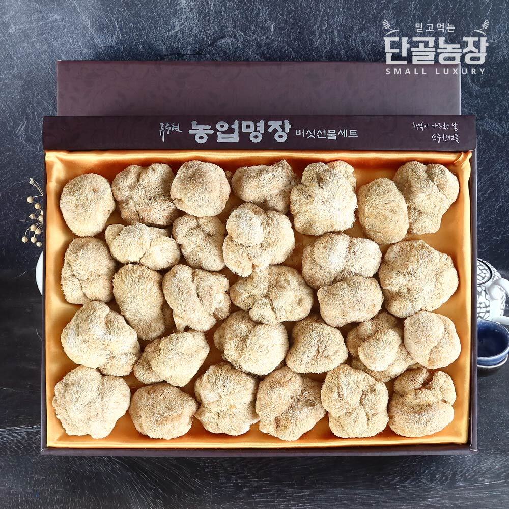 프레시데이 류충현버섯명장 노루궁뎅이버섯 선물세트 2호 (300g)