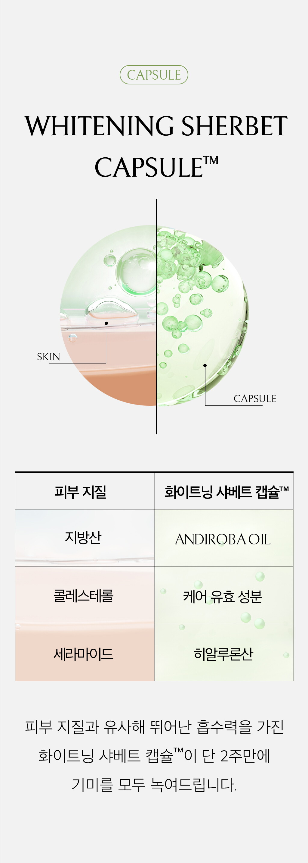 ㅋㅐㅂㅅㅠㄹ ㅅㅜㅈㅓㅇ.jpg