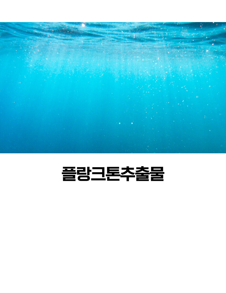 12_mall
