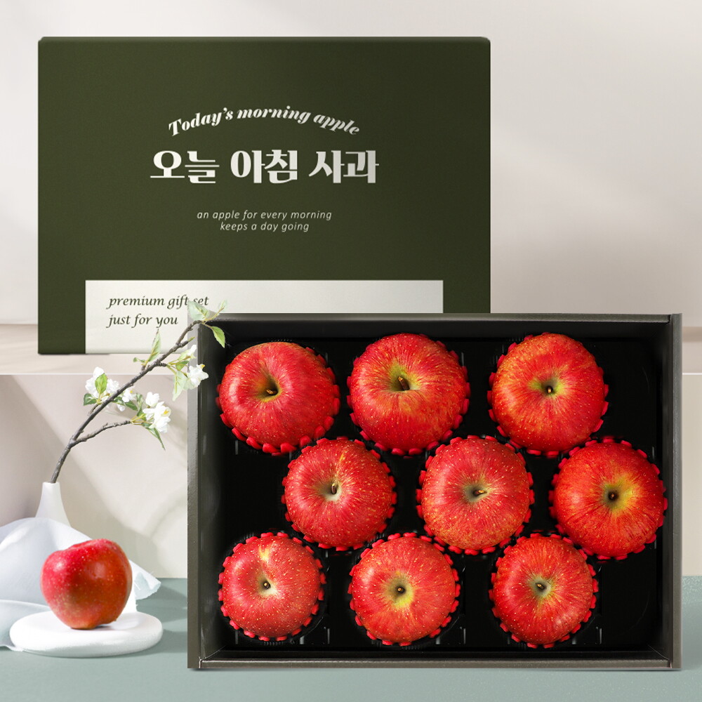 오늘아침사과 명품 사과선물세트 3kg 9과