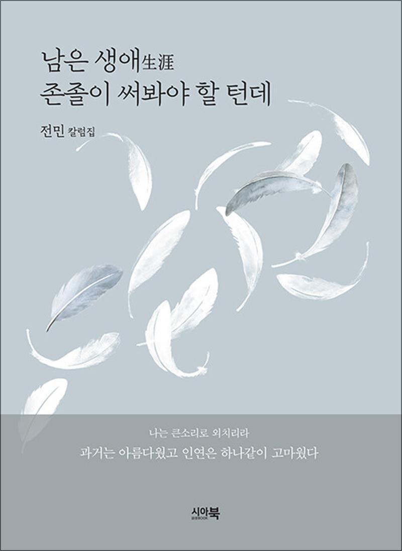 봄봄북스 [봄봄북스] 남은 생애生涯 존졸이 써봐야 할 턴데 - 전민 캄럼집