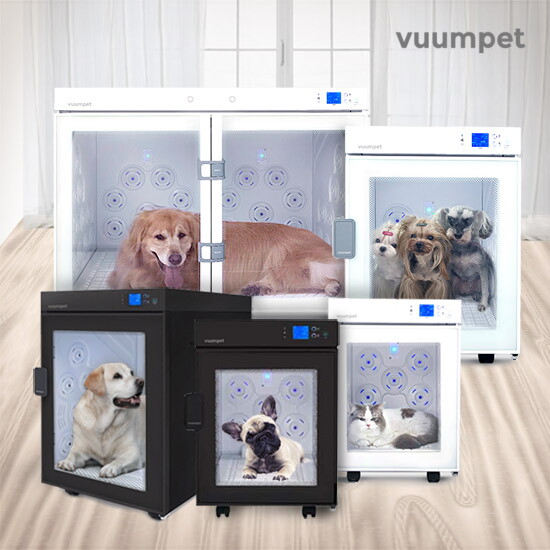 왕의귀환 ! 붐펫드라이룸 신규컬러 추가 특집전