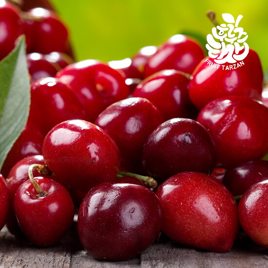 후르츠타잔 고당도 미국산 생체리(9.5 R/10R)
