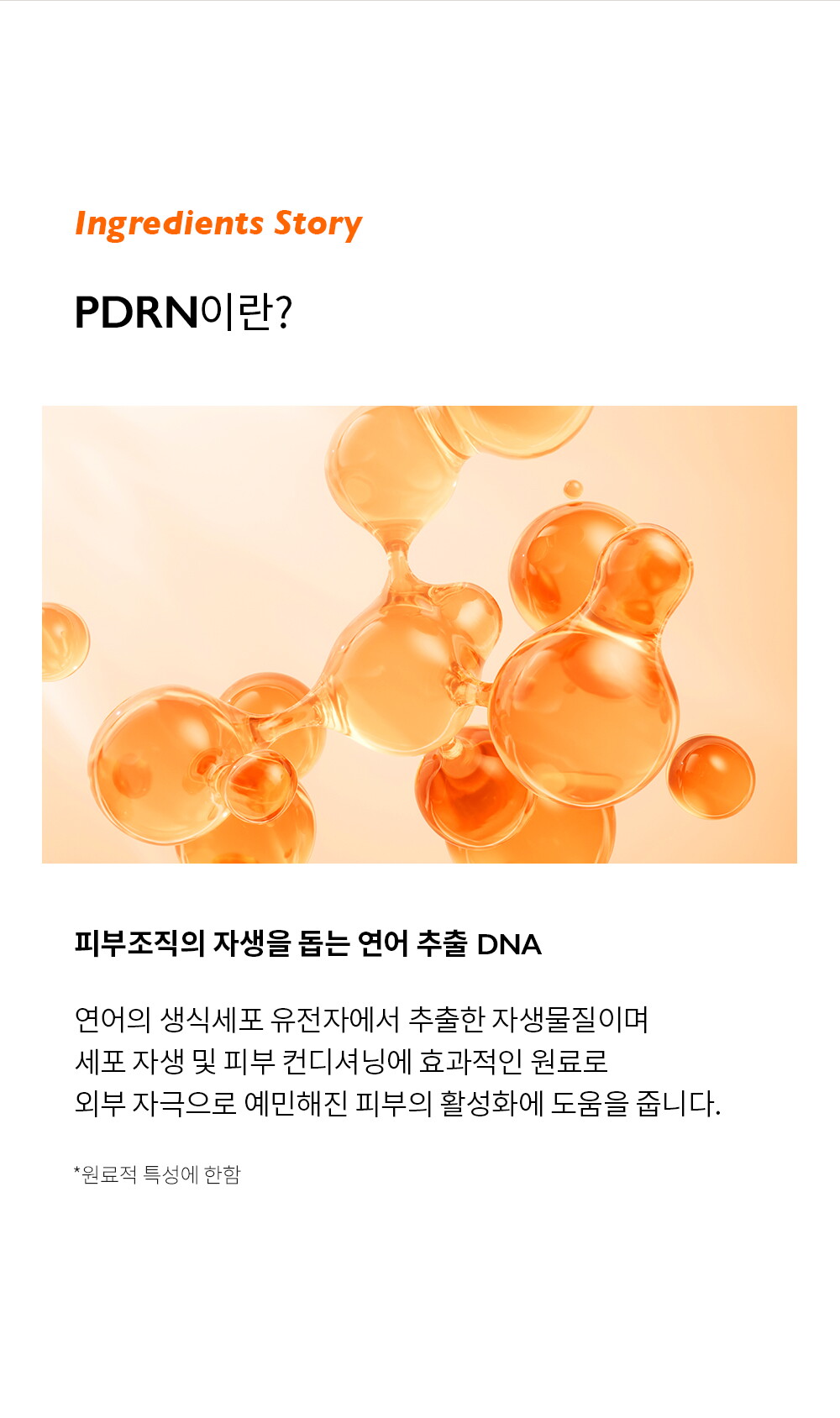 ㅈㅔㄴㅏㅂㅔㄹ_ㅈㅏㅅㅐㅇㅋㅡㄹㅣㅁㅅㅏㅇㅅㅔㅍㅔㅇㅣㅈㅣ1_250218_02.jpg