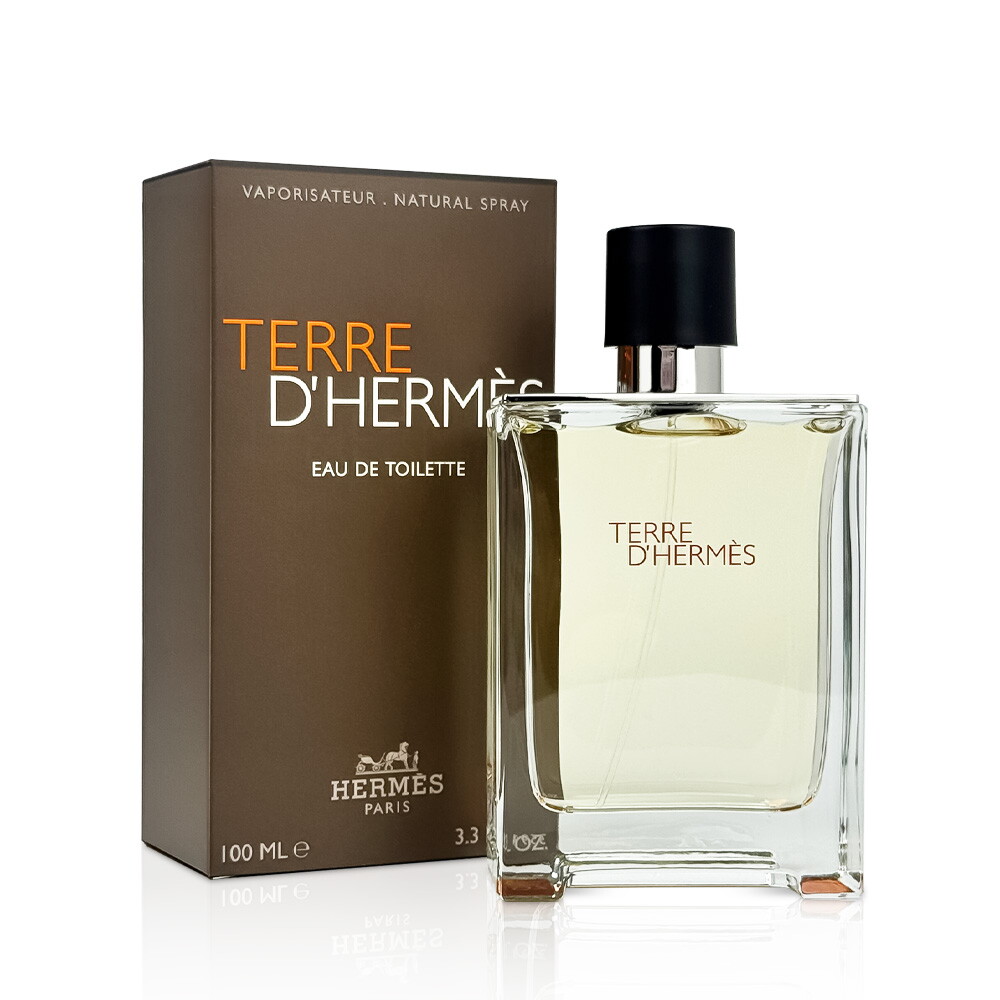 에르메스 에르메스 떼르 데르메스 EDT 100ml