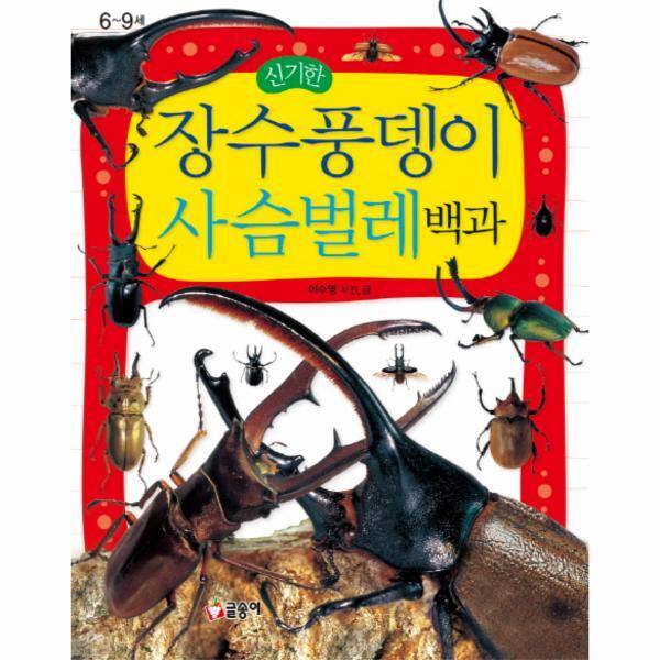 빅북 신기한 장수풍뎅이 사슴벌레 백과