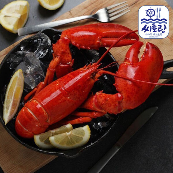 푸드진정성 캐나다 자숙랍스터 특 2미/미당 450-500g/냉동