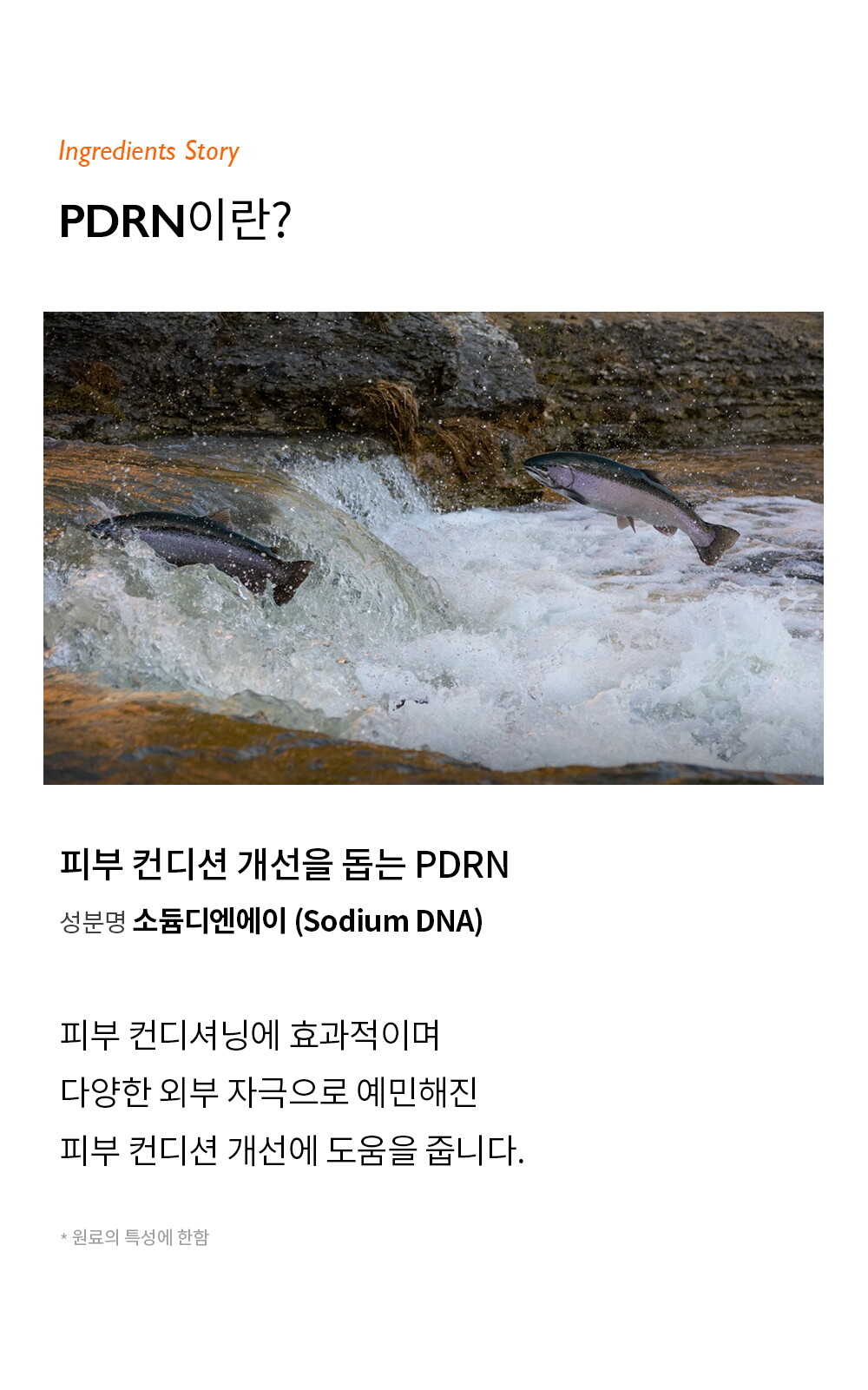 ㅈㅔㄴㅏㅂㅔㄹ_ㅂㅣㅌㅏㅇㅐㅁㅍㅡㄹ_ㅅㅏㅇㅅㅔㅍㅔㅇㅣㅈㅣ_240118_SA_02