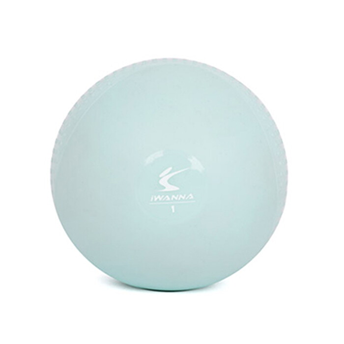 아이워너 소프트토닝볼 1kg 2개 1세트