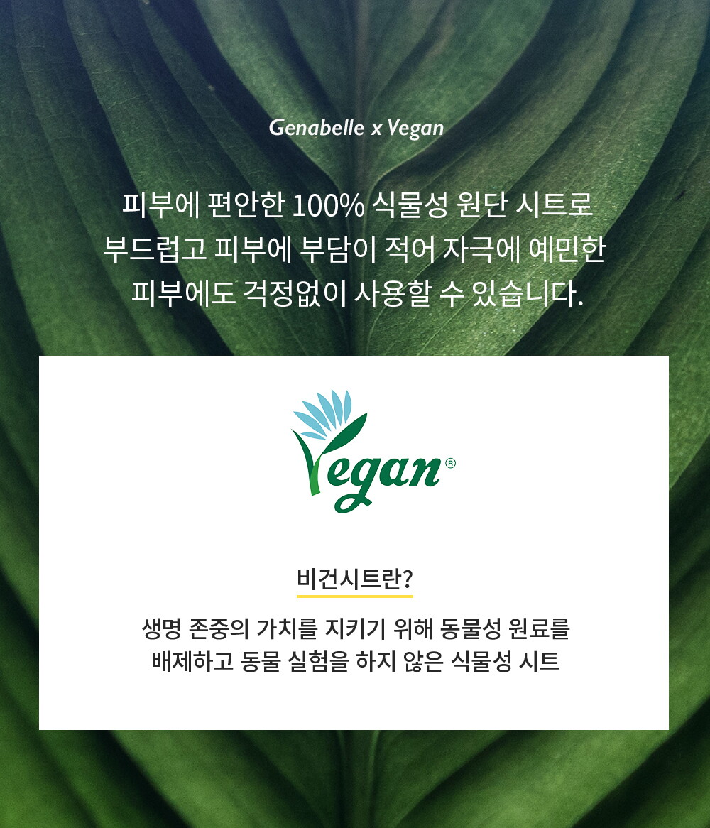 ㅈㅔㄴㅏㅂㅔㄹ_ㄱㅡㄹㄹㅜㅌㅏㅌㅣㅇㅗㄴㅁㅏㅅㅡㅋㅡㅍㅐㄱ_ㅅㅏㅇㅅㅔㅍㅔㅇㅣㅈㅣ(2)_230214_MS_05