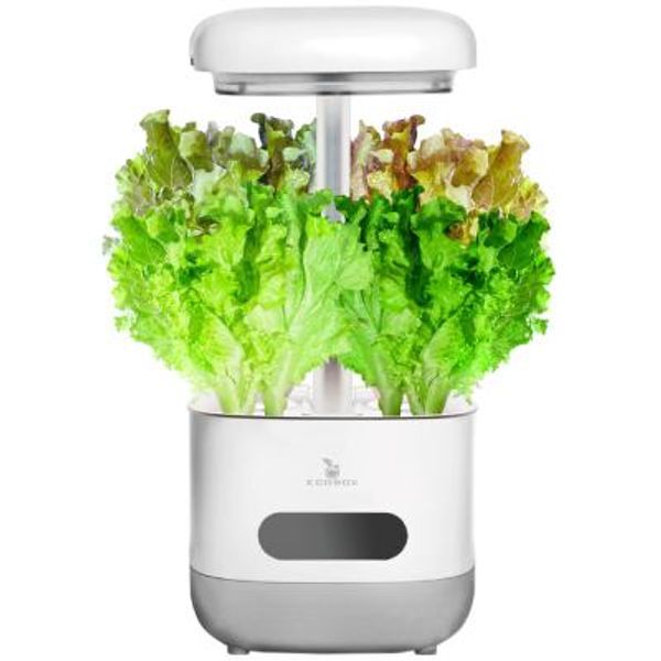 교보문고 클렙튼 에코박스 LED 수경재배기 식물재배 GB