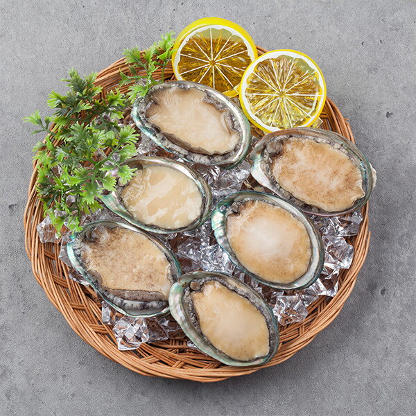 자연맛남 산지직송 완도사랑 청정해역 참전복 1kg(15미)산소포장