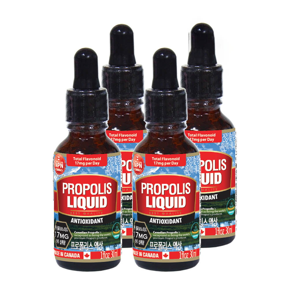 통라이프 (통라이프)플라보노이드463mg 프로폴리스액상30ml 4병