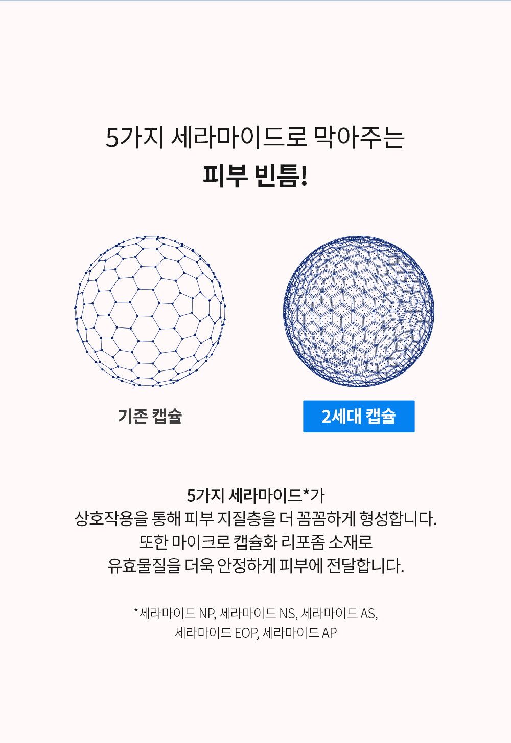 ㅈㅔㄴㅏㅂㅔㄹ_ㅇㅏㅋㅜㅇㅏㅍㅗㄹㅣㄴ-ㅇㅣㄴㅌㅔㄴㅅㅡ-ㅋㅡㄹㅣㅁ-ㅌㅗㄴㅓ-ㅅㅏㅇㅅㅔㅍㅔㅇㅣㅈㅣ_1000_240307_07.jpg