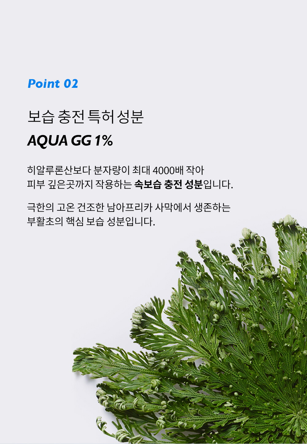 ㅈㅔㄴㅏㅂㅔㄹ_ㅅㅔㄹㅏㅁㅏㅇㅣㄷㅡ-ㅋㅐㅂㅅㅠㄹㅋㅡㄹㅣㅁ_ㅅㅏㅇㅅㅔㅍㅔㅇㅣㅈㅣ(1)_1000_240429_07.jpg