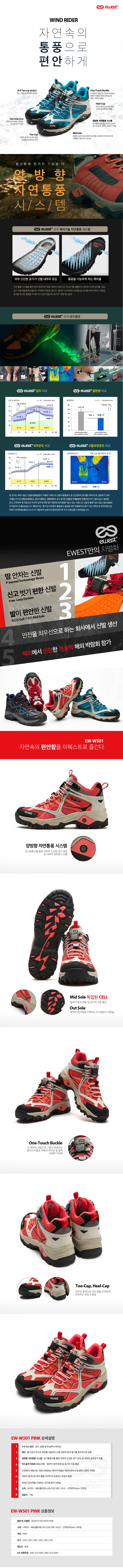 501 핑크