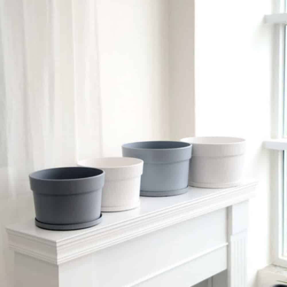 [삼미호협력사]지오벤처스 소형 분재 화분 25x16cm 축하용 식물 선물 카지노 조화