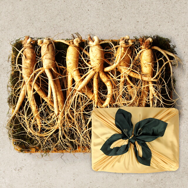 오초록 풍기인삼 6년근 수삼 선물세트 1호 (750g 5-6편 1채)