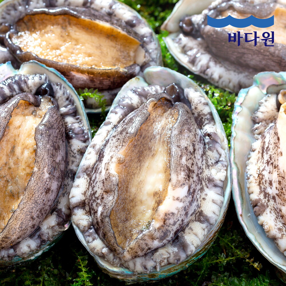 바다원(주) 바다원 산지직송 완도 활전복 1kg (9-10미 내외)