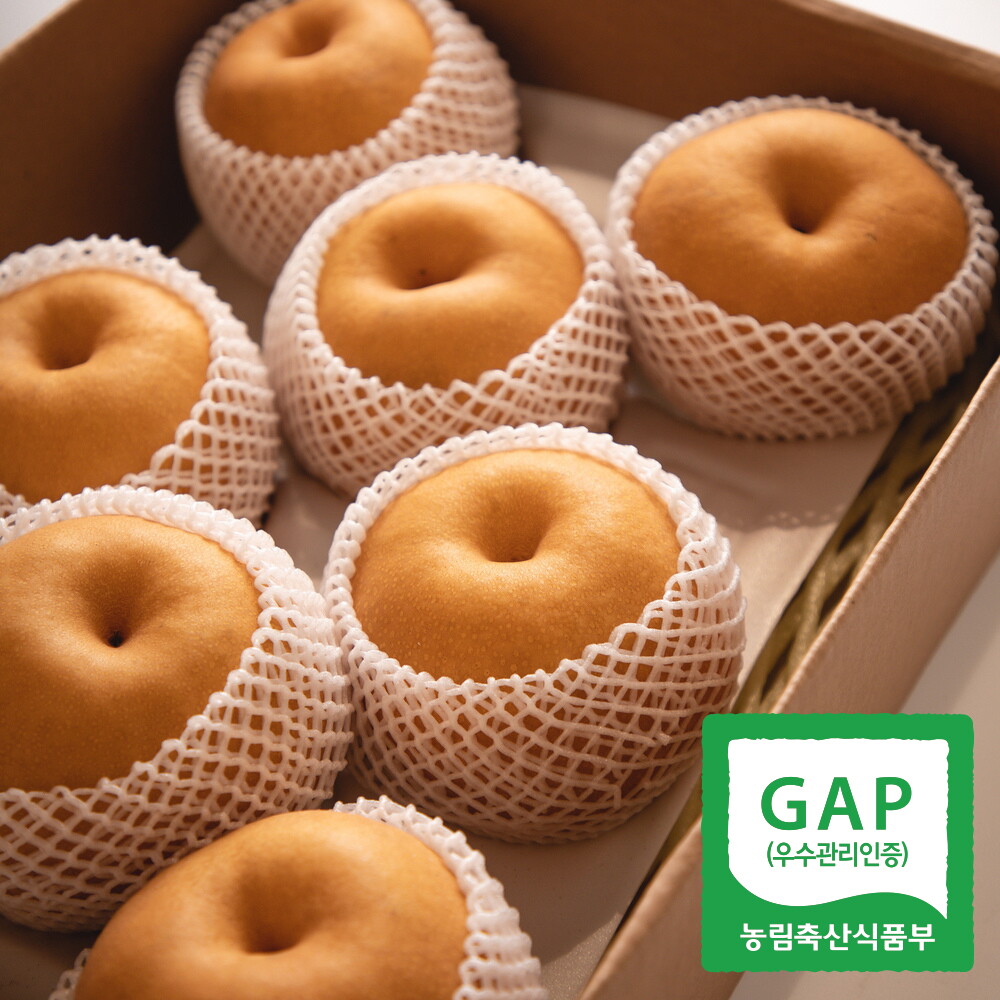 과일꾼 30년 경력 김재명 농부 나주배 5kg 8-9과