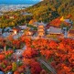 [참좋은여행][상담예약] 참좋은여행 오사카 4일 패키지