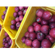 (내당농산)속 빨간 사과 피치애플 엔부사과 복숭아 사과  3.5kg(10-12입)