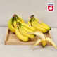 [다인푸른농장]필리핀 고당도 바나나 6-9수 13kg 대용량