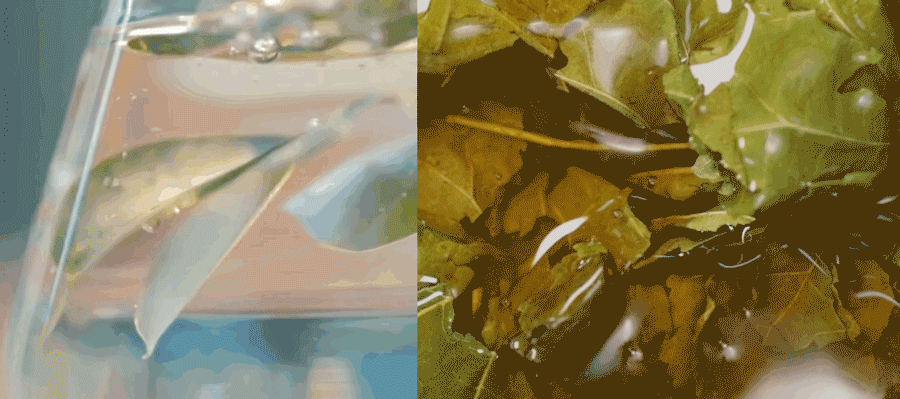 03-3