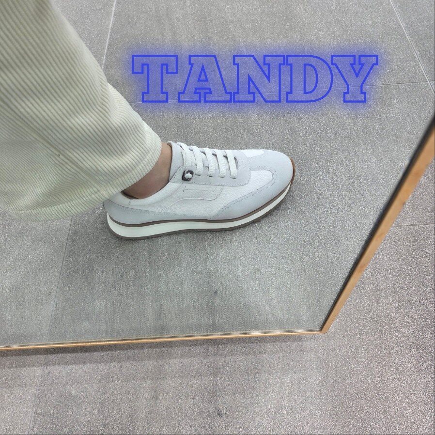 상세페이지 참조 탠디 (패플) [탠디]남성 스니커즈 Y2G5HA033_SH