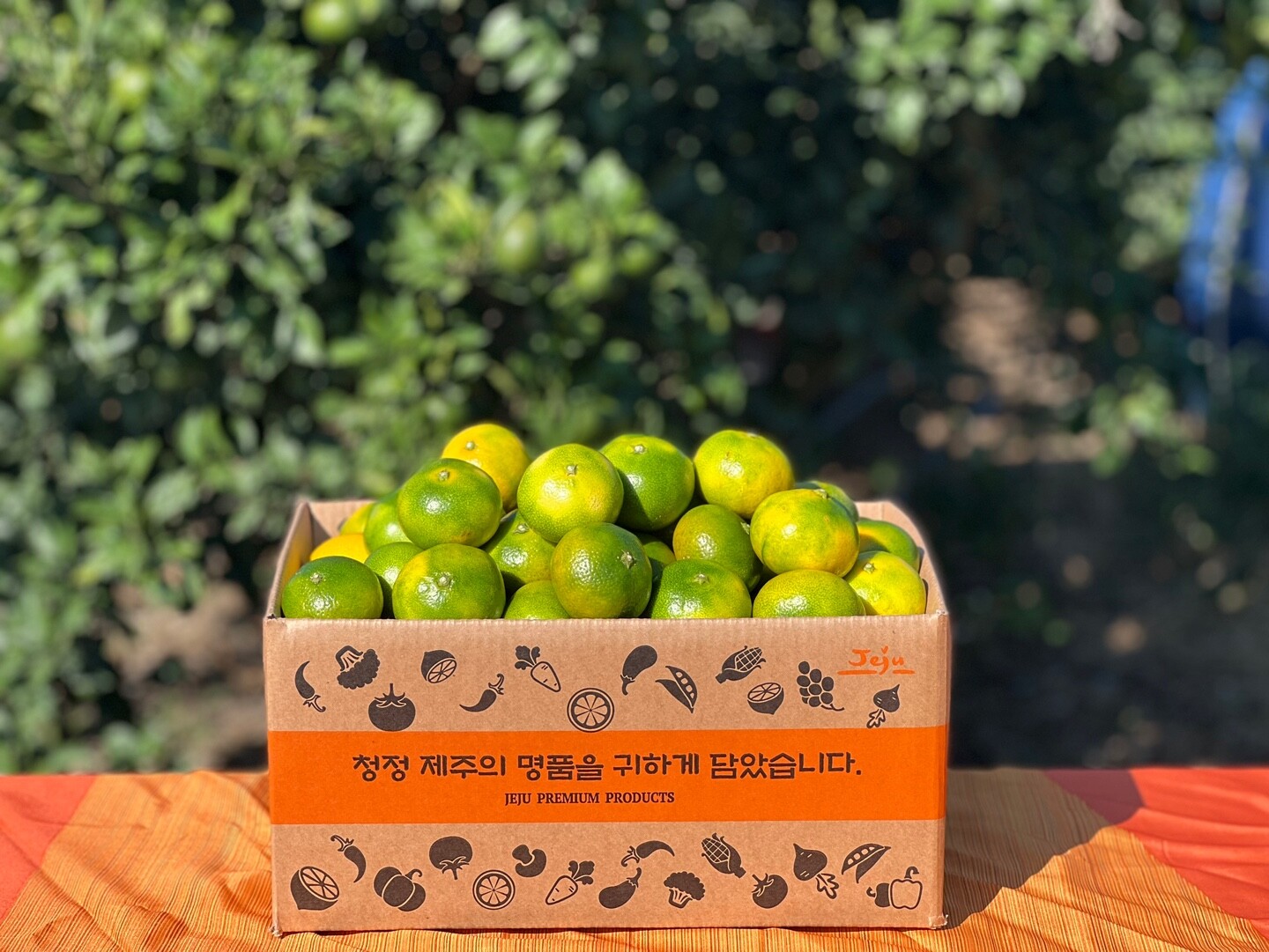 산해직송 협력사 산해직송 제주 타이벡 감귤 4.5kg(중대과/L-2L)