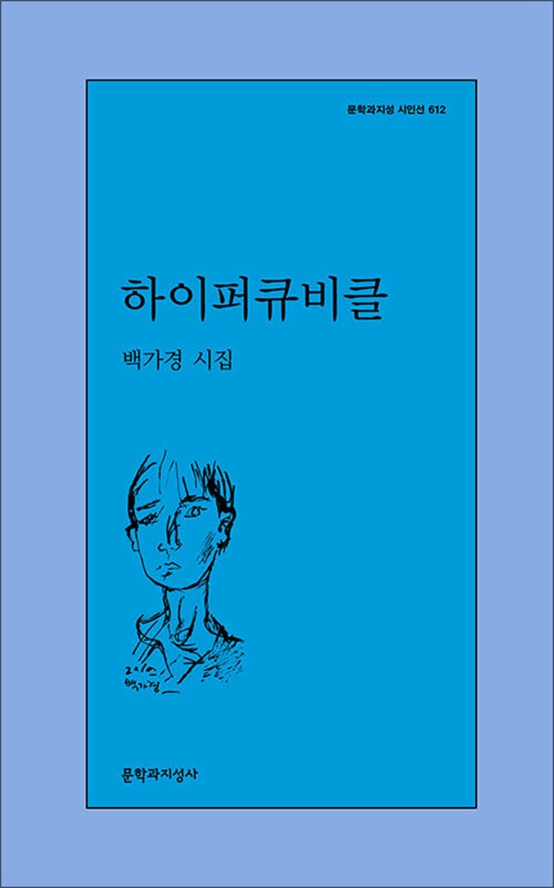 문학과지성사 제이북스 [제이북스] 하이퍼큐비클 (문학과지성 시인선 612)